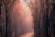 豪门再续前缘，一举逆袭夺冠