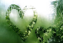 红魔前锋刷新进球纪录，破万分大关