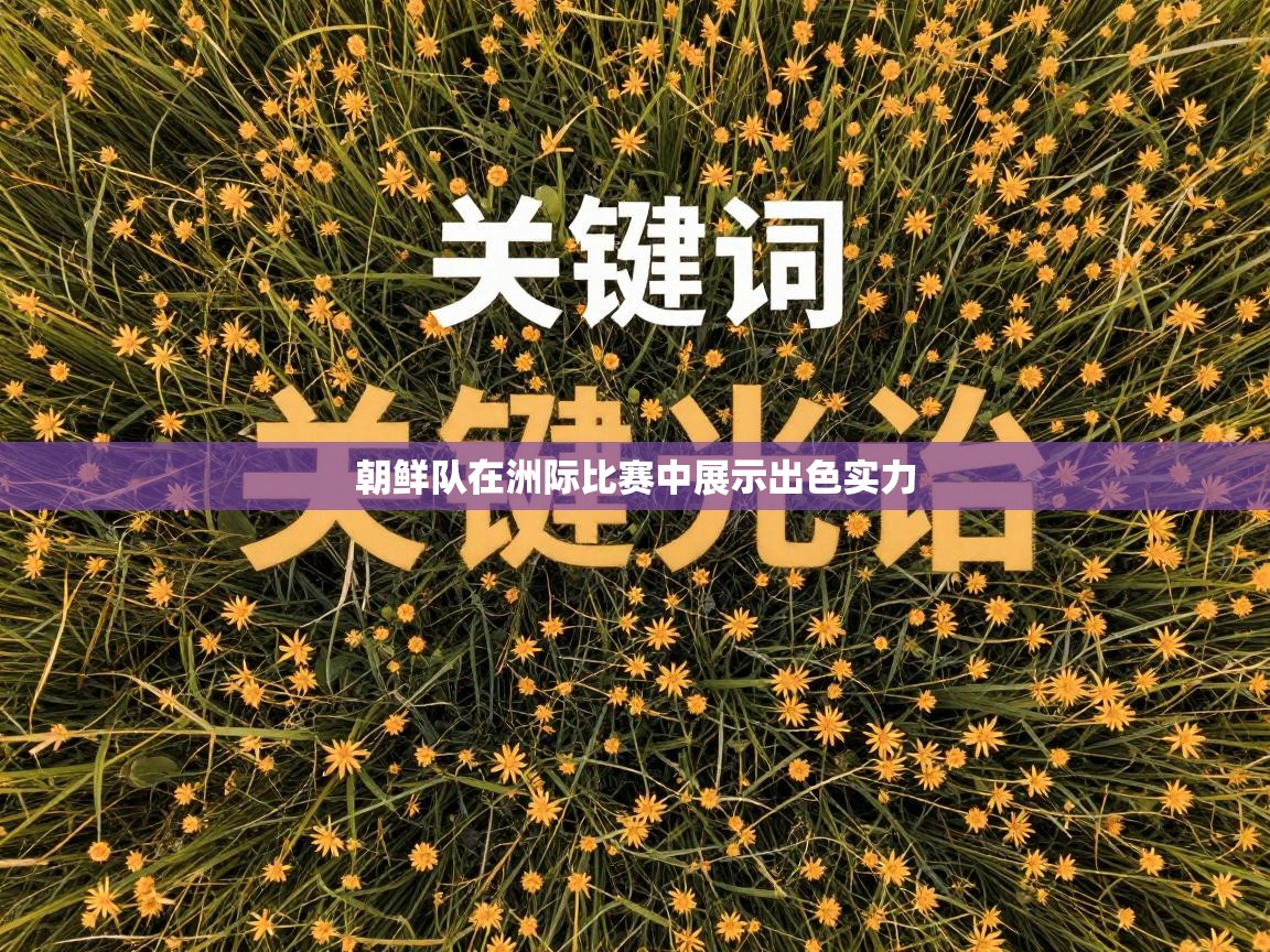 朝鲜队在洲际比赛中展示出色实力